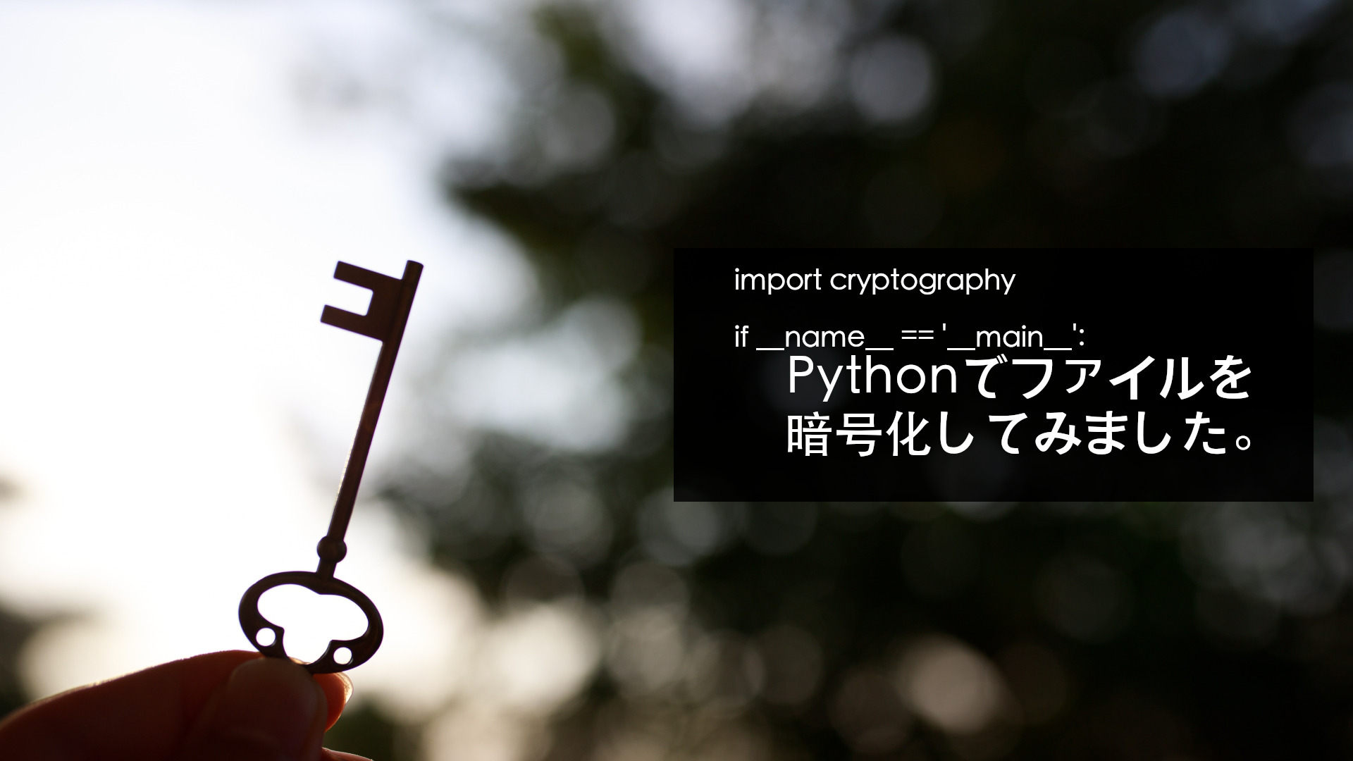 投稿についてもっと詳しく Python(cryptography)でファイルを共通鍵 暗号化！