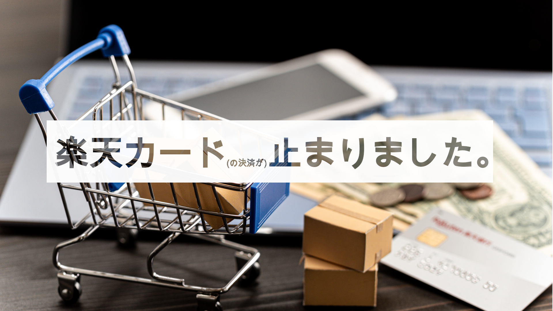 投稿についてもっと詳しく 楽天カードでお買い物できなかったのでチャットで問い合わせしたの段 (G12)